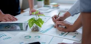Why a Carbon Credit Feasibility Study Matters for Sustainable Projects